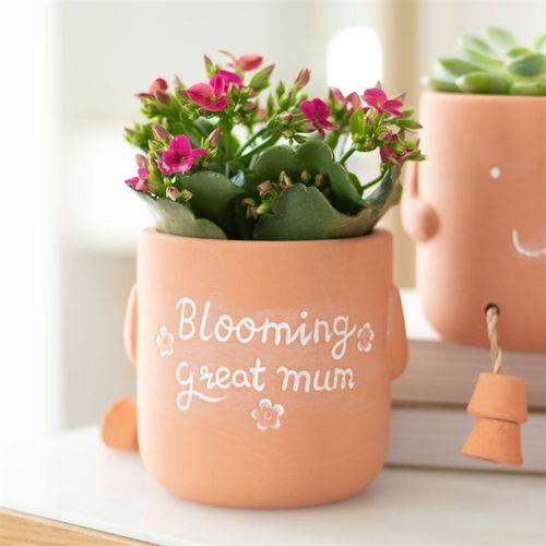 BLOOMING GREAT MUM SITTING PLANT POT PAL