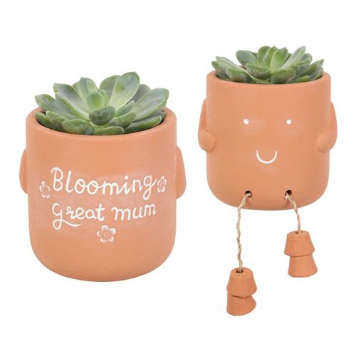 BLOOMING GREAT MUM SITTING PLANT POT PAL