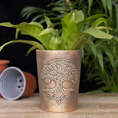 TERRACOTTA PLANT POT BY LISA PARKER