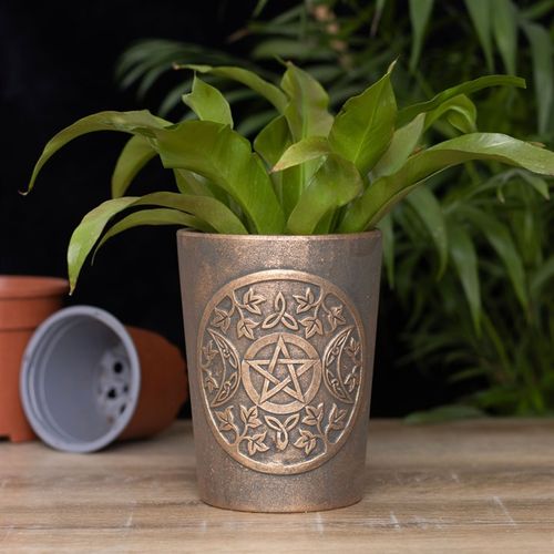 TERRACOTTA PLANT POT BY LISA PARKER