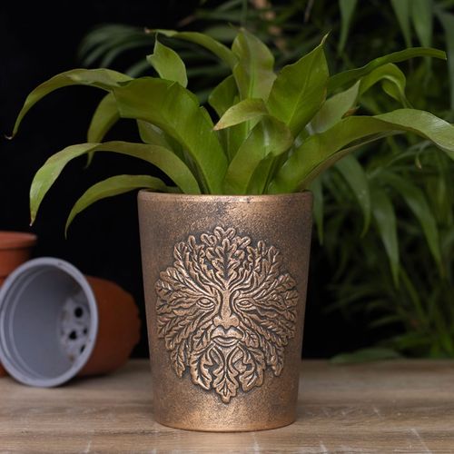 TERRACOTTA PLANT POT BY LISA PARKER
