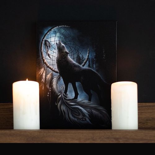19X25CM FROM DARKNESS CANVAS PLAQUE BY SPIRAL DIRECT - LAST CHANCE