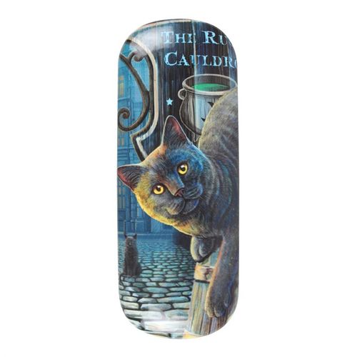 GLASSES CASE