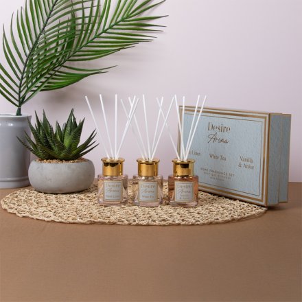 Set of 3 Cocoa Diffusers