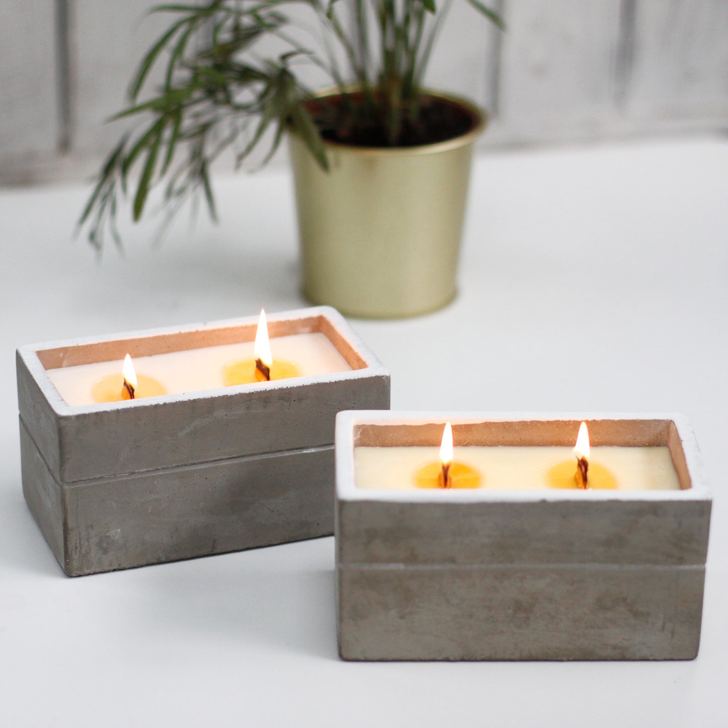 Concrete Wooden Wick Candle Large Box - Clove & Dark Sandalwood