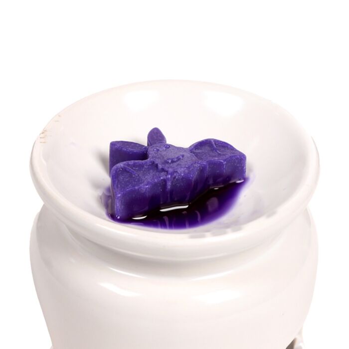 Handmade Wax Melt Set of 5 - Spooky