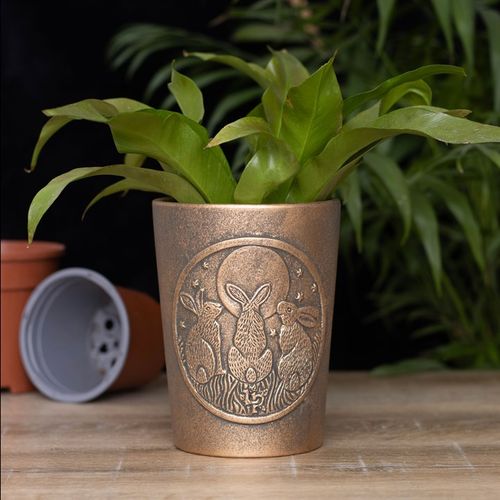 TERRACOTTA PLANT POT BY LISA PARKER