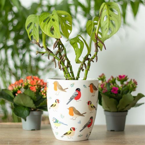BRITISH GARDEN BIRDS CERAMIC PLANT POT