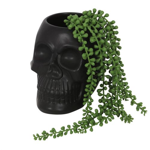 BLACK SKULL PLANT POT