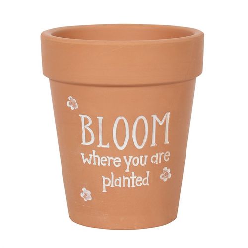 BLOOM WHERE YOU ARE PLANTED TERRACOTTA PLANT POT - LAST CHANCE