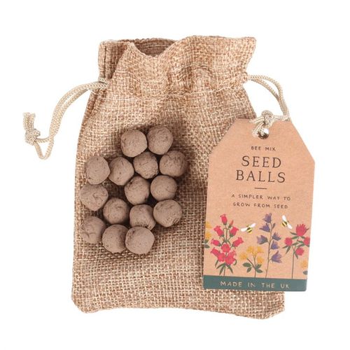 24 GARDEN SEED BALLS IN A BAG