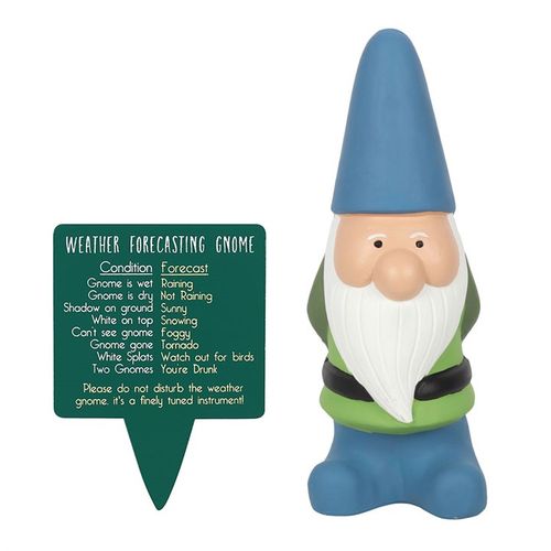LARGE WEATHER FORECASTING GNOME