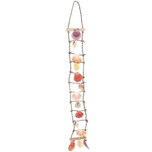 SHELL LADDER