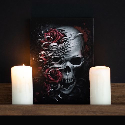 19X25CM SKULLS N ROSES CANVAS PLAQUE BY SPIRAL DIRECT