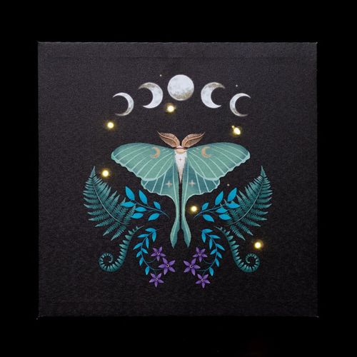 LUNA MOTH LIGHT UP CANVAS PLAQUE