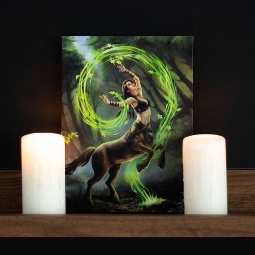 19X25CM EARTH ELEMENT SORCERESS CANVAS PLAQUE BY ANNE STOKES - LAST CHANCE