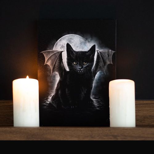 19X25CM BAT CAT CANVAS PLAQUE BY SPIRAL DIRECT