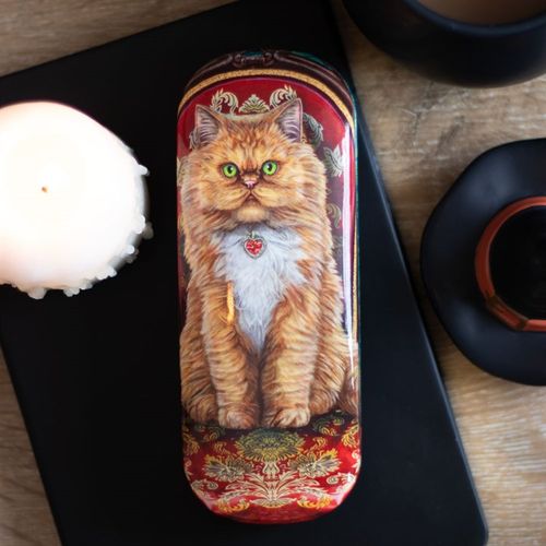 GLASSES CASE