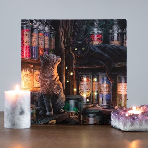 MAGICAL EMPORIUM LIGHT UP CANVAS PLAQUE BY LISA PARKER - LAST CHANCE