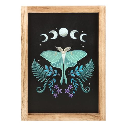 LUNA MOTH WOODEN FRAMED WALL ART