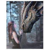 19x25cm Once Upon A Time Canvas Plaque By Anne Stokes - LAST CHANCE