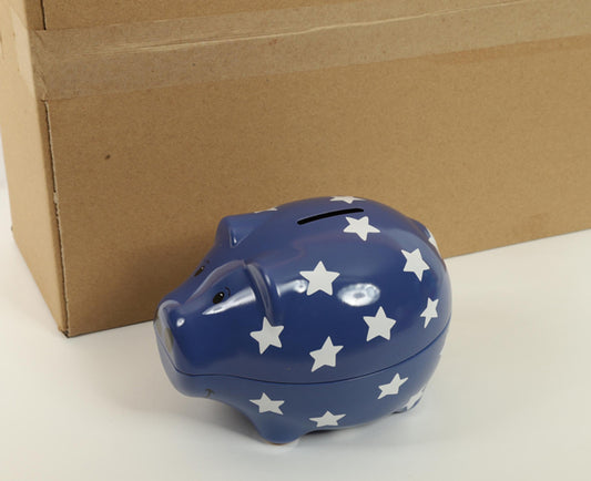 Blue Star Piggy Bank