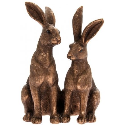 Bronzed Sitting Hares