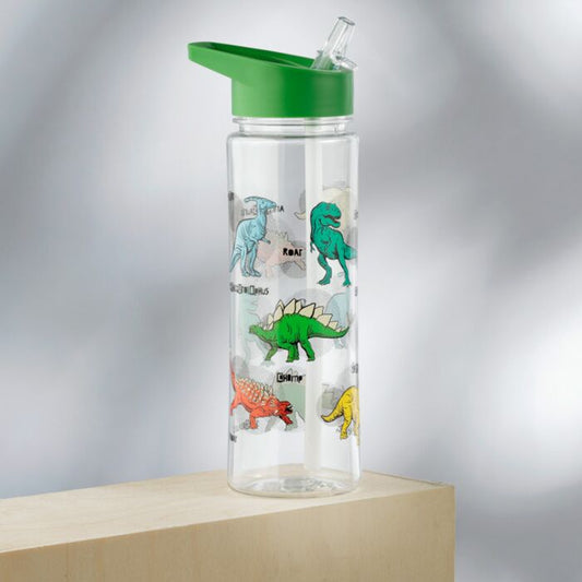 Reusable Shatterproof Water Bottle 550ml - Dinosauria