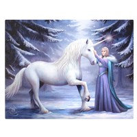 25x19cml Pure Magic Canvas Plaque by Anne Stokes - LAST CHANCE
