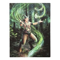 19x25cm Earth Element Wizard Canvas Plaque by Anne Stokes - LAST CHANCE