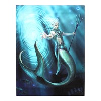 19x25cm Water Element Wizard Canvas Plaque by Anne Stokes - LAST CHANCE