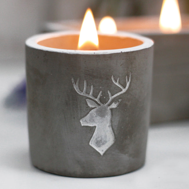 Concrete Wooden Wick Candle Med Pot - Stag Head - Whiskey & Woodsmoke